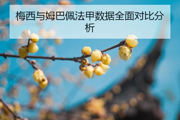 mei-xi-yu-mu-ba-pei-fa-jia-shu-ju-quan-mian-dui-bi-fen-xi-2-633.jpg