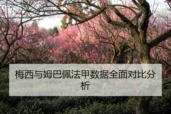 梅西与姆巴佩法甲数据全面对比分析
