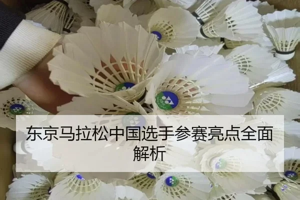 dong-jing-ma-la-song-zhong-guo-xuan-shou-can-sai-liang-dian-quan-mian-jie-xi-2-338.jpg