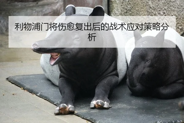 利物浦门将伤愈复出后的战术应对策略分析