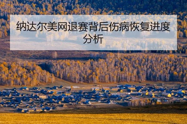 na-da-er-mei-wang-tui-sai-bei-hou-shang-bing-hui-fu-jin-du-fen-xi-2-488.jpg